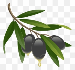 Olives Png Image With Images - Icon