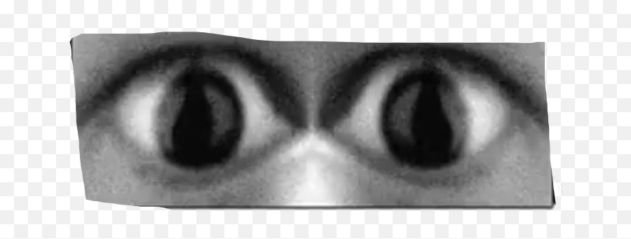 Lomando Creepy Eyes Horror Sticker By Mannytube4768 - Eye Lomando Png,Creepy Eyes Png