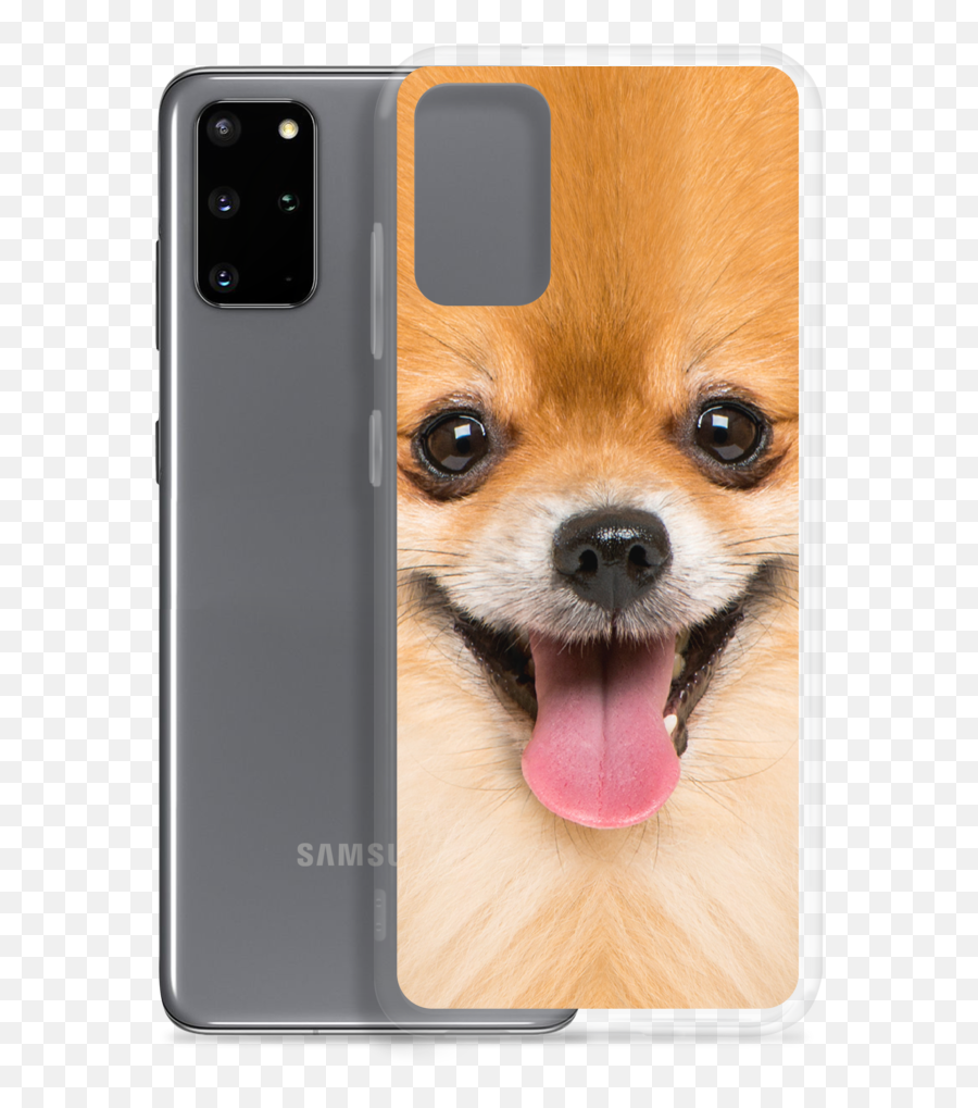 Pomeranian Dog Samsung Case U2013 Design Express - Samsung Png,Pomeranian Png