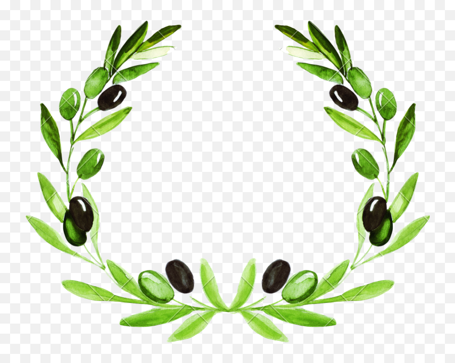 Olive Wreath - Olive Wreath Transparent Png,Laurel Wreath Transparent