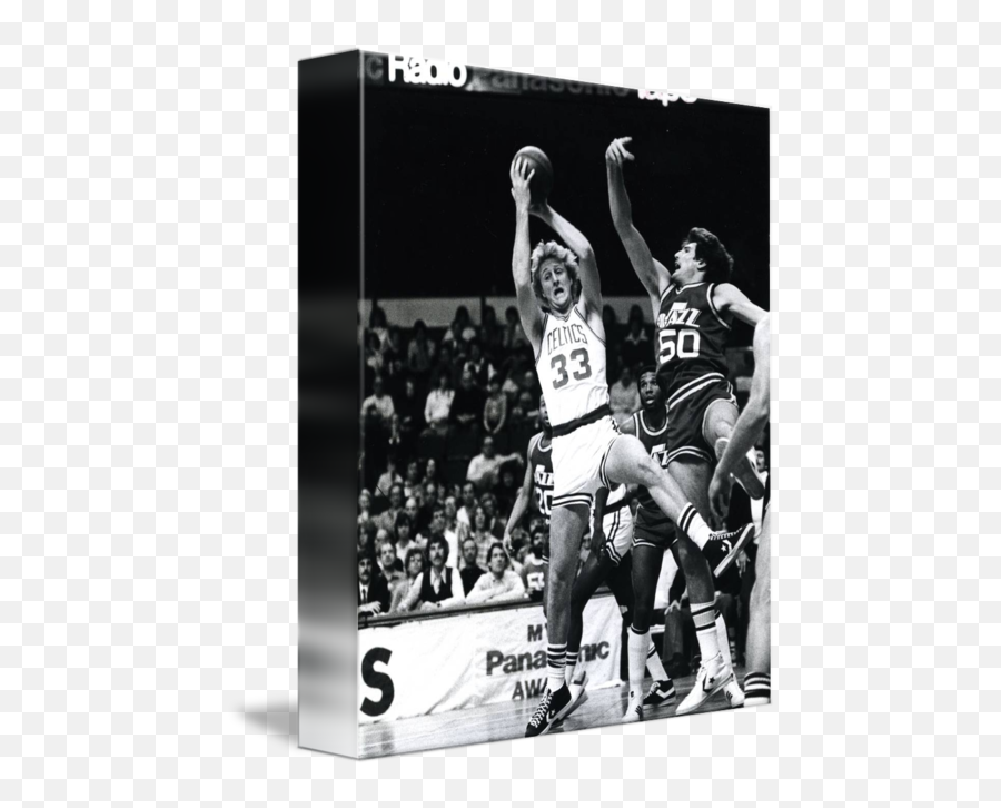 Larry Bird - For Basketball Png,Larry Bird Png