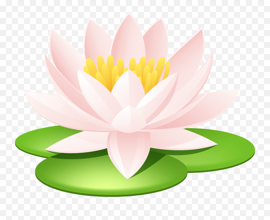 Library Of Water Lily Clipart Free Png Pad