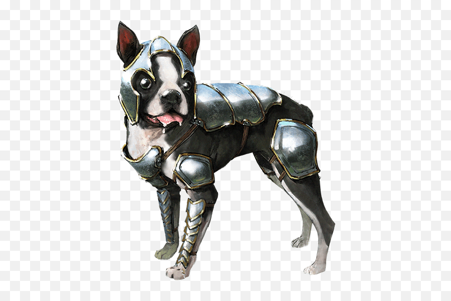 Boston Terrier - Boston Terrier Armor Png,Boston Terrier Png