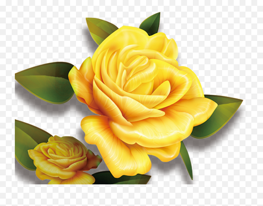 Rose Yellow Flower High - Transparent Background Yellow Flower Png,Yellow Roses Png