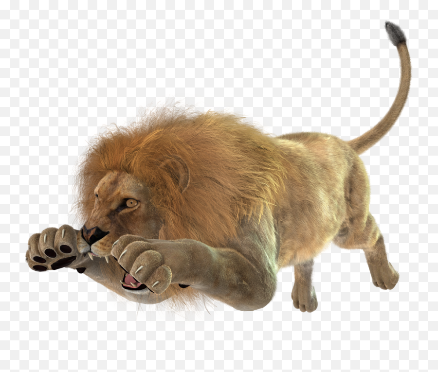 Download Images Of Angry Lion Png - Lion Jumping Png Full Angry Lion Transparent Background,Lion Transparent