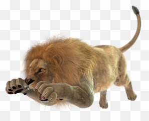 Download Images Of Angry Lion Png - Jumping Full Transparent Background