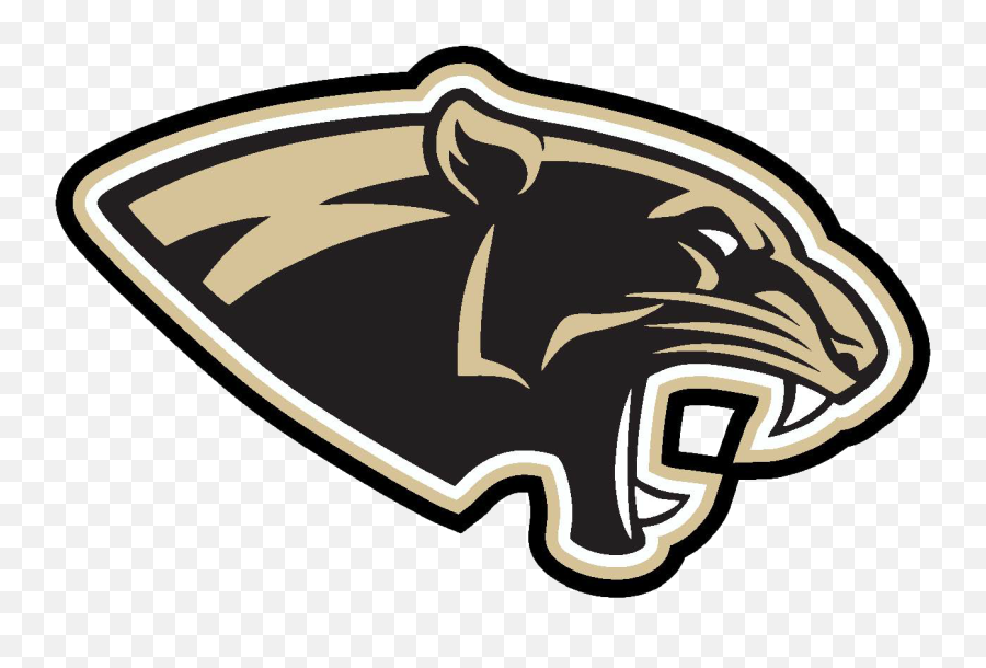 About Risd - Russellville High School Panther Png,Risd Logo