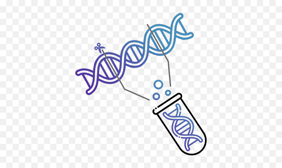 Plasmid Sequencing - Dot Png,Sequencing Icon