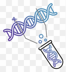 Plasmid Sequencing - Dot png