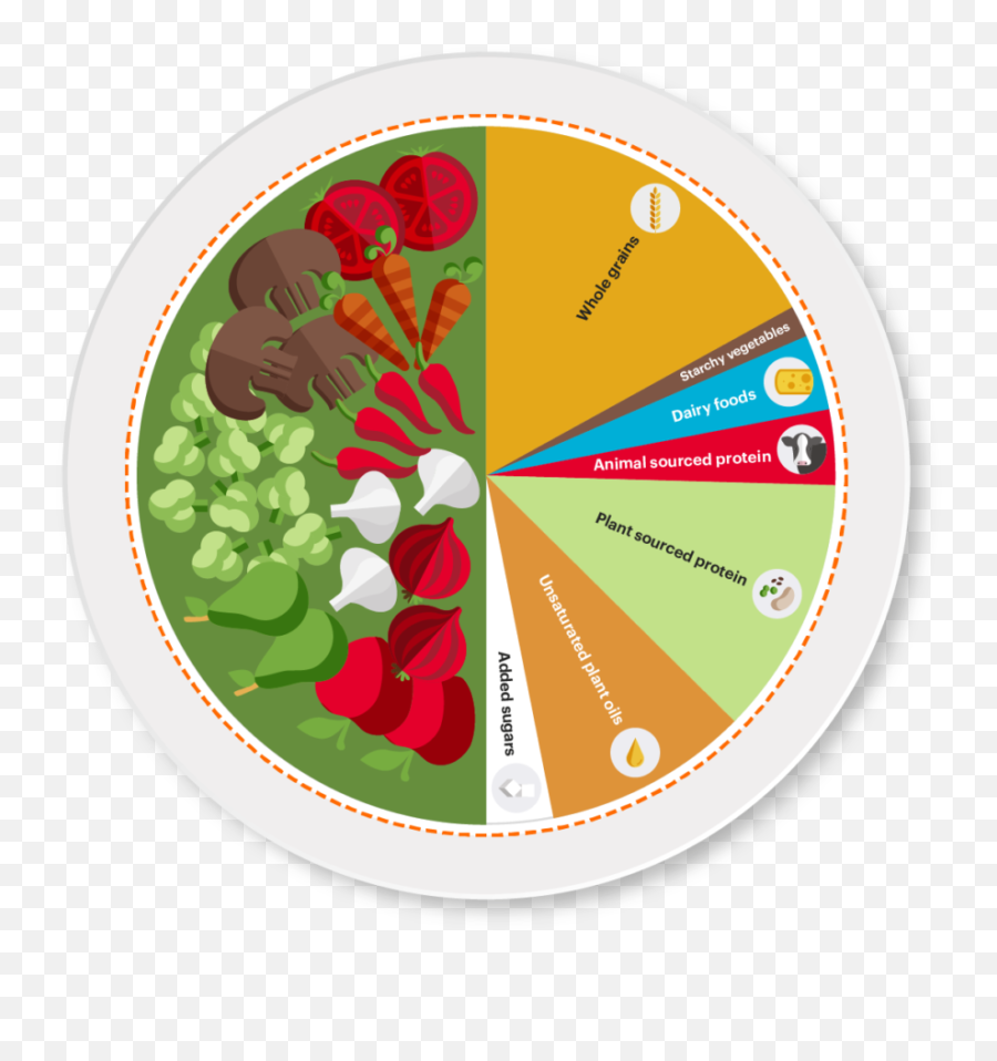 The Planetary Health Diet - Creating Sustainable Resilient Food Systems For Healthy Diets Png,My Plate Replaced The Food Pyramid As The New Icon