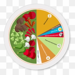 The Planetary Health Diet - Creating Sustainable Resilient Food Systems For Healthy Diets Png,My Plate Replaced The Food Pyramid As The New Icon