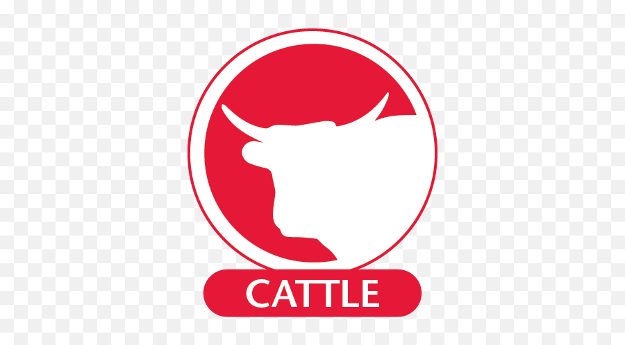 Cattle - Language Png,Chicken Head Icon