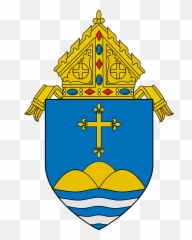 Catholic Church Links U2013 Knights Of Columbus - Archdioceses Of Miami Logo png