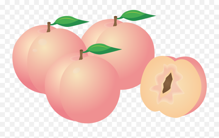 Plant Apple Peach Png Clipart - Pink Peaches Clipart,Peaches Png