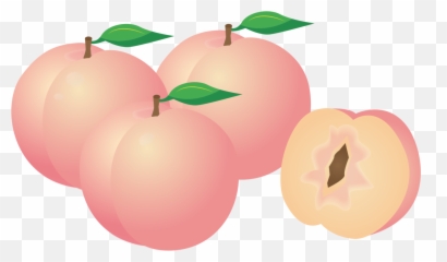 Plant Apple Peach Png Clipart - Pink Peaches