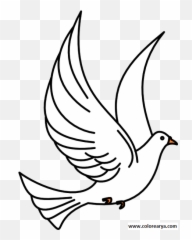 Dibujo Paloma Png 7 Image - Birds Clipart Black And White,Paloma Png
