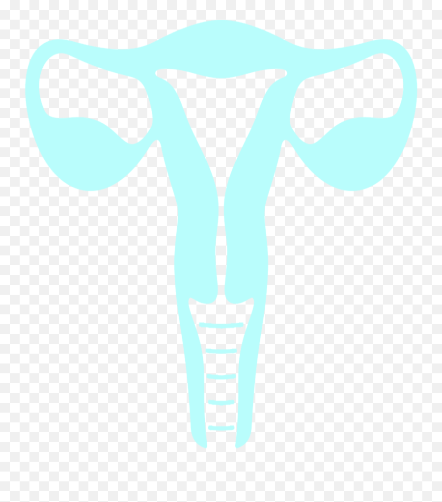Home - Ppkk Cattle Png,Anatomy Icon