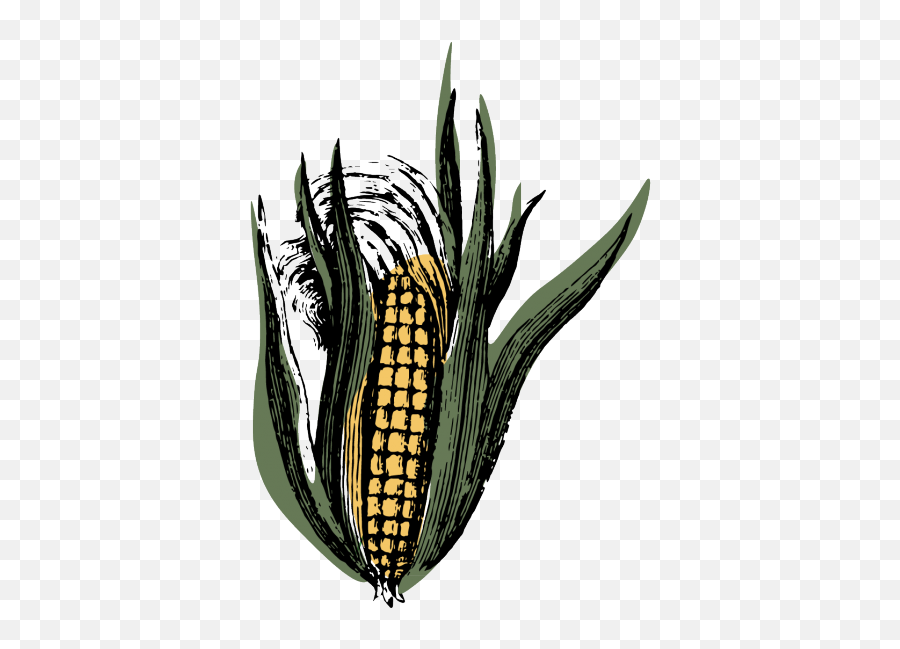 Homepage Selmiu0027s Greenhouse Png Purple Corn Icon