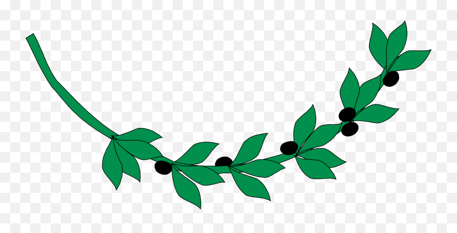 Olive Branch Vector Transparent U0026 Png Clipart Free Download - Ancient Greece Olive Branch,Olive Tree Png