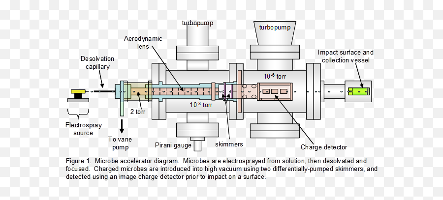 High Velocity Impacts Of Bacteria Spores Chemistry - Diagram Png,Bacteria Transparent Background