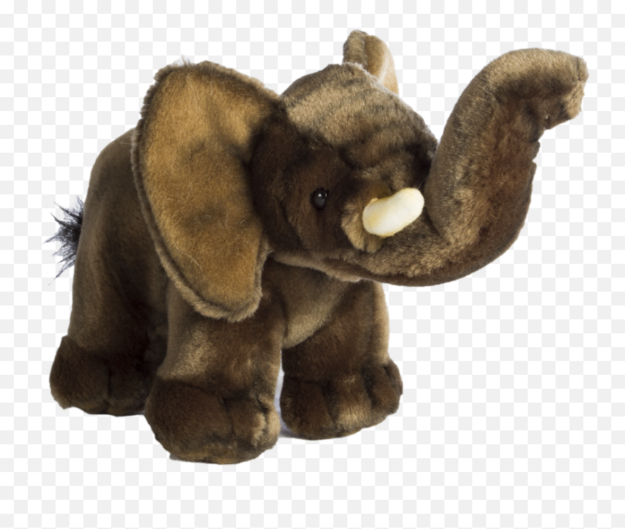 Download Hd Baby Elephant Transparent Png Image - Nicepngcom Asian Elephant,Baby Elephant Png