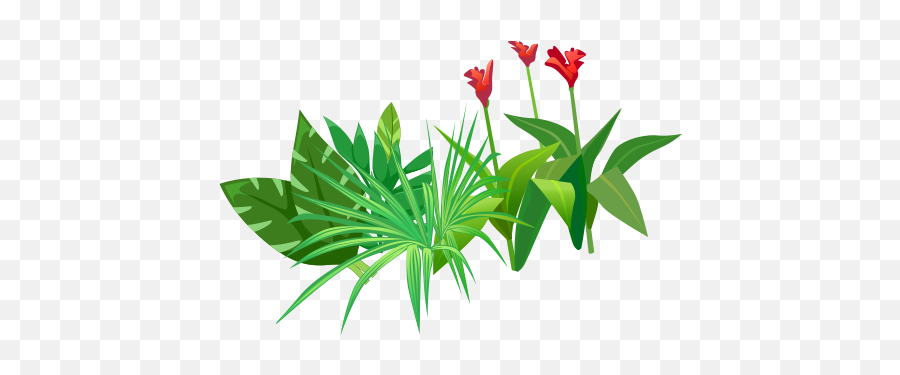 Index Of Assetsimg - Tulip Png,Foliage Png