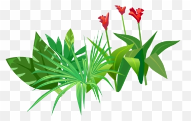 Index Of Assetsimg - Tulip Png,Foliage Png