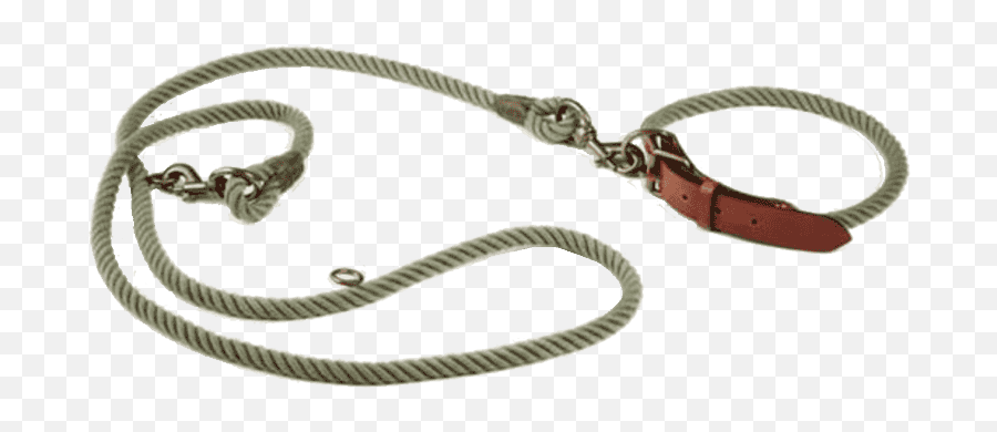 Collar U0026 Leash - Chain Png,Leash Png