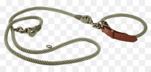 Collar U0026 Leash - Chain Png,Leash Png
