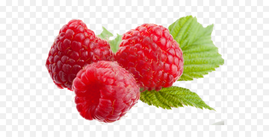 Large Raspberry Transparent Png - Stickpng Benefits Of Raspberries,Raspberries Png