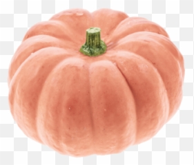 Pink Pumpkins Transparent Png Clipart