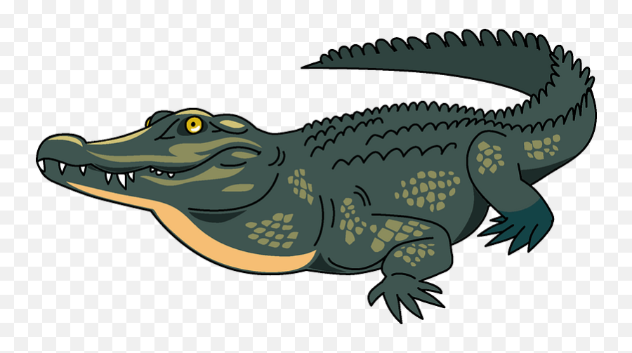 Clipart - Clipart Images Of Crocodile Png,Alligator Png