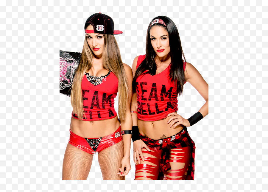 Brie Bella - Bella Twins Wwe Png,Brie Bella Png