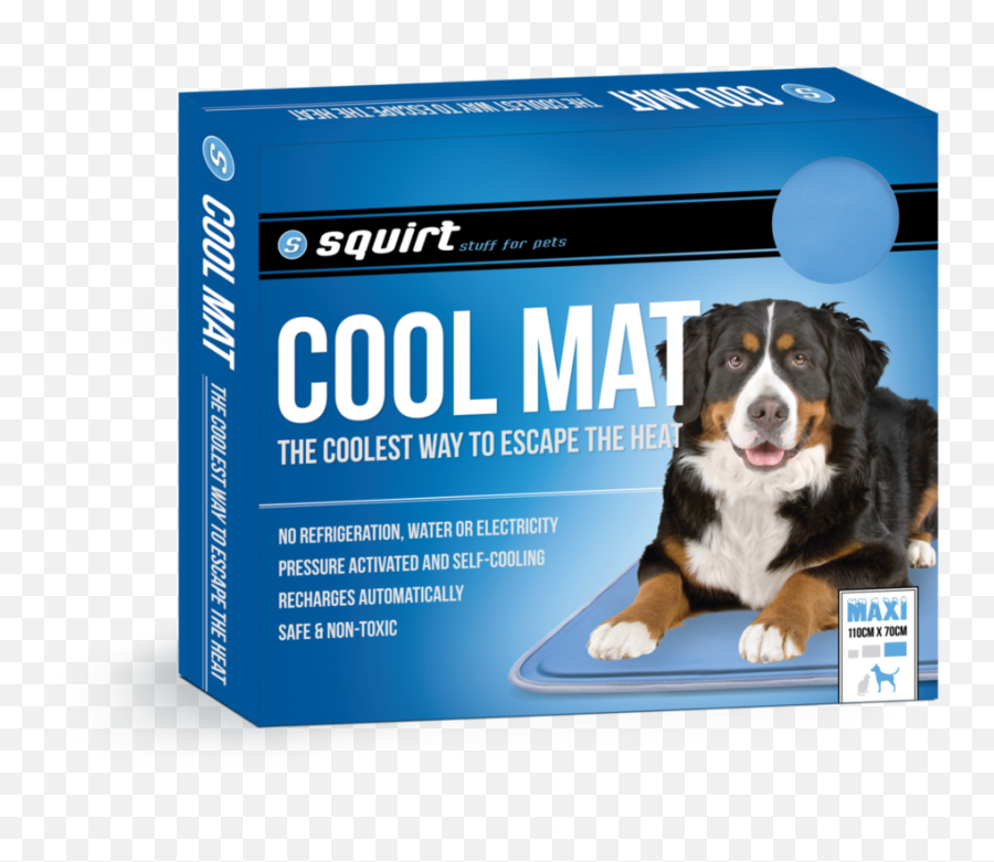 Squirt Cool Mat - Bernese Mountain Dog Png,Squirt Png