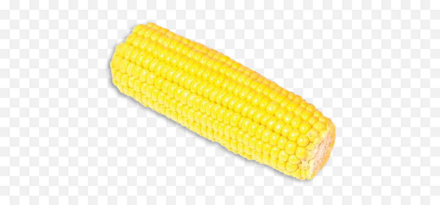 Corn - Corn Kernels Png,Corn On The Cob Png