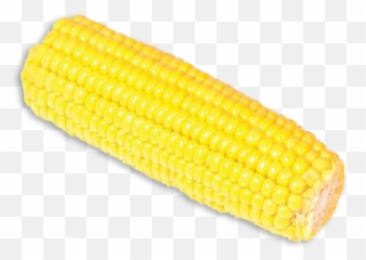 Corn - Kernels png