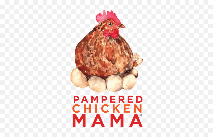 Pcm Logo 1000 Px Pampered Chicken Mama Raising Backyard - Fowl Png,Chicken Logo