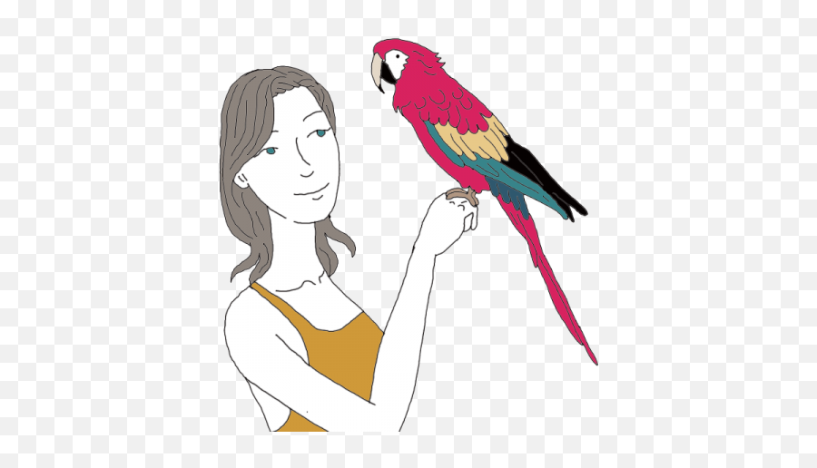Parrot Dream Meaning Interpret Now - Auntyflocom Parrot Symbolism Png,Parrot Transparent
