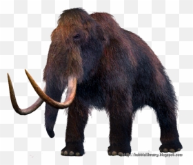 What Did A Mammoth Eat - Transparent Mammoth Png,Mammoth Png