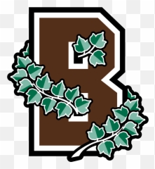 Brown Bears - University Football Logo png