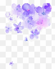 Purple Flower Watercolor - Transparent Background Purple Flowers Png,Purple Flowers Png