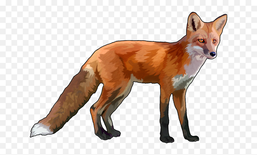Fox Transparent Image - Fox With No Background Png,Fox Transparent