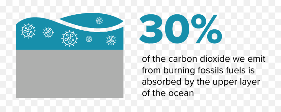 Carbon Sequestration - Vertical Png,Carbon Monoxide Icon