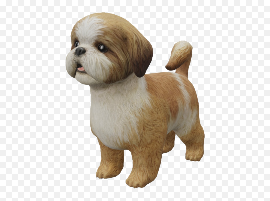 Google 3d Animals U0026 Ar Objects Full List Gallery - Vulnerable Native  Breeds Png,Shih Tzu Icon - free transparent png images 