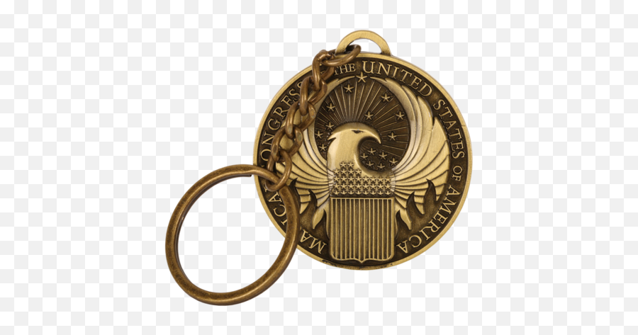 Keyring - Solid Png,Newt Scamander Icon