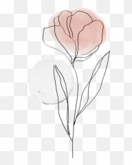 Icons Art Wedding Flower Plant Plants Image By Soomee436 - Sketch png