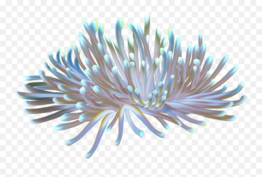 Coral Reef Transparent Png Clipart - Coral Reef Transparent Background,Coral Png