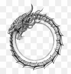Download Ouroboros Transparent - Don Toribio png