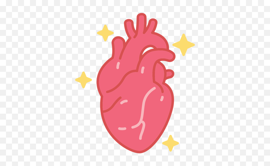 Pink Human Heart Color Stroke Transparent Png U0026 Svg Vector - Png Pink Human Heart,Anatomical Heart Icon