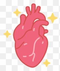 Pink Human Heart Color Stroke Transparent Png U0026 Svg Vector - Png